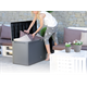 Gartenbox - BOXE RATO PLUS - umbra Prosperplast MBRP290-440U